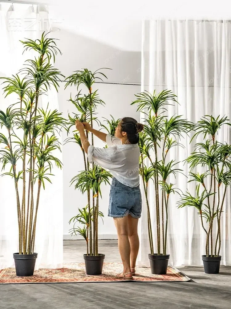 Sztuczna dracena dracena margi – Dracaena Marginata recenzja i cena