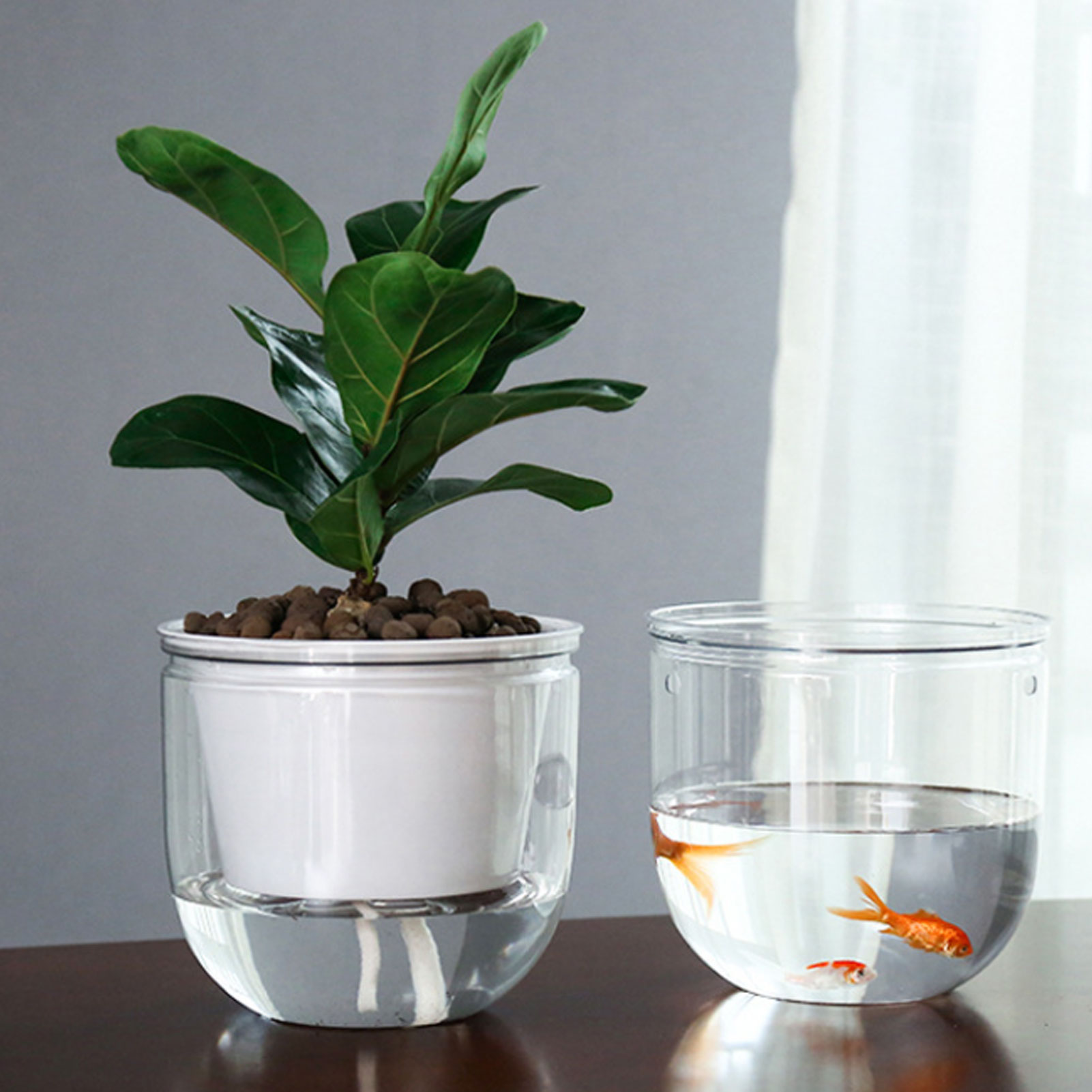 Automatyczne doniczki samozras – Spider Plant Hanging recenzja i cena