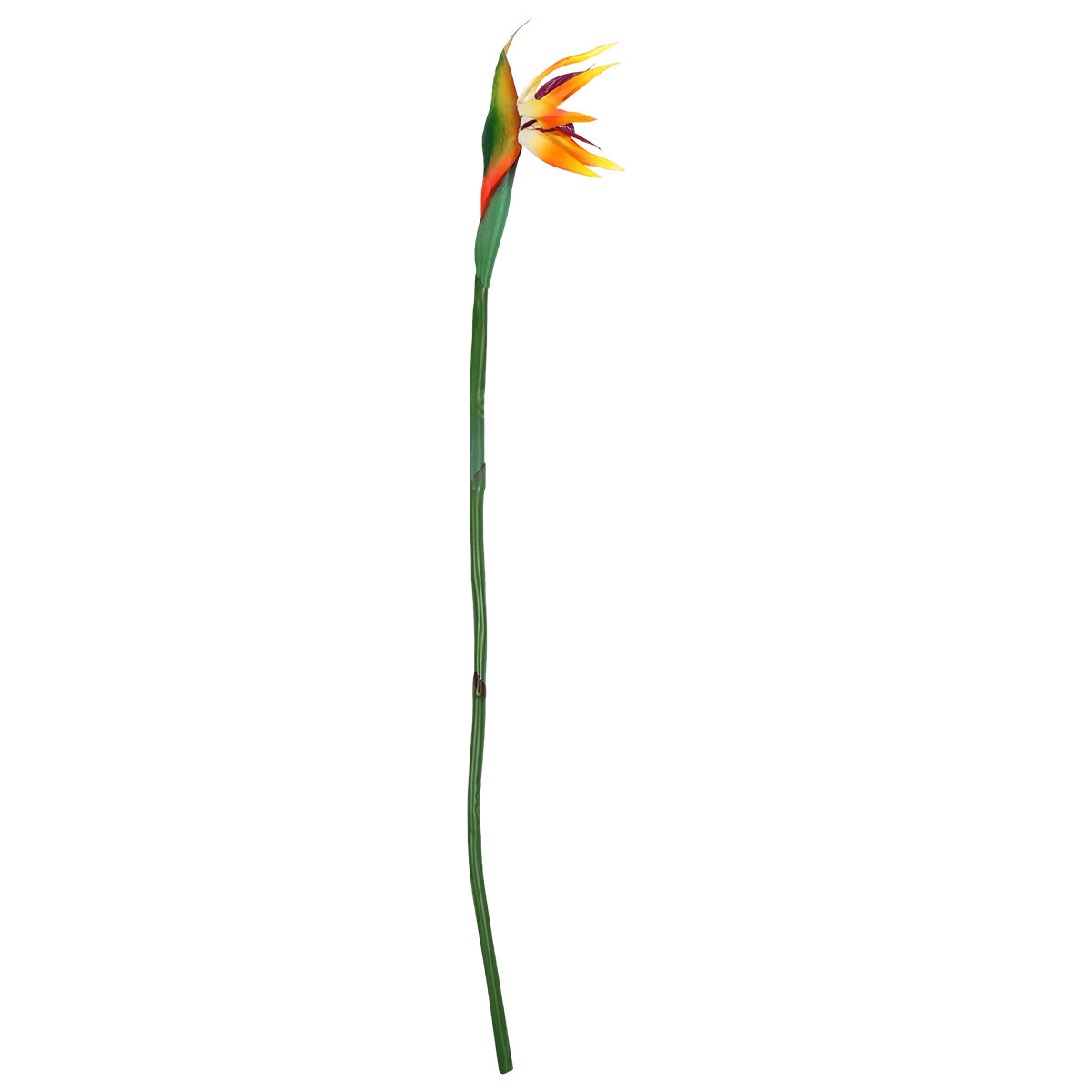 Sztuczny kwiat strelicy, imitu – Bird Paradise Strelitzia recenzja i cena