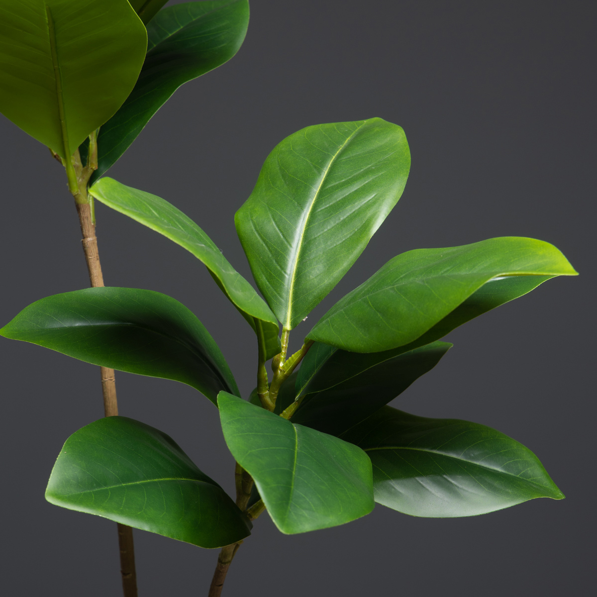 105cm 2 widelce Duże sztuczne  – Dracaena Marginata recenzja i cena