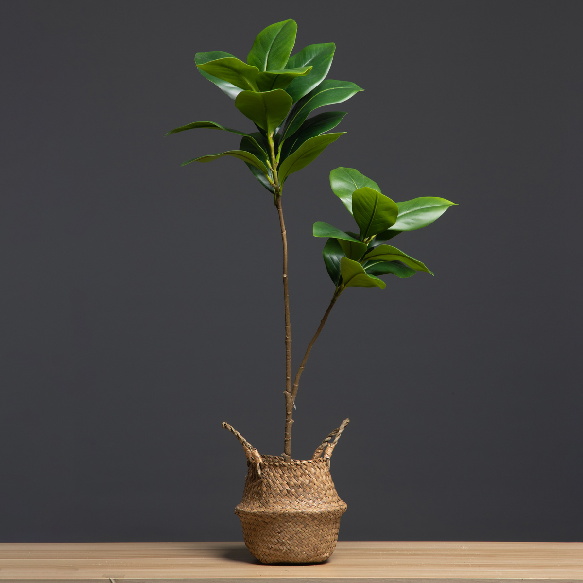 105cm 2 widelce Duże sztuczne  – Dracaena Marginata recenzja i cena