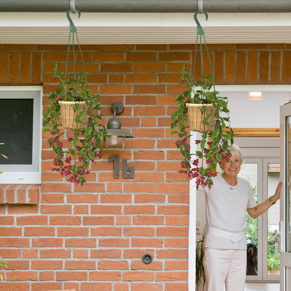 5 szt. Wieszaków do wiszących  – Spider Plant Hanging recenzja i cena